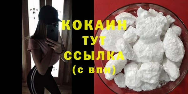 мдпв Краснослободск