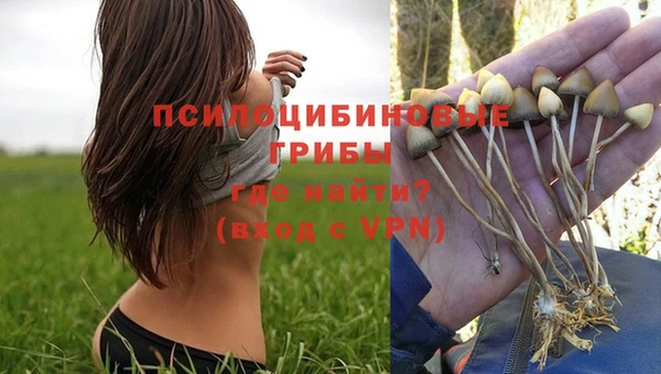 МДПВ Аркадак